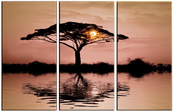 landscape AFRICAN SUNSET